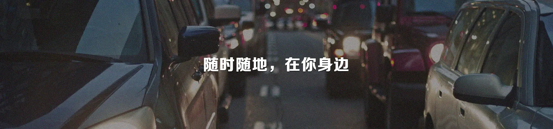 艾鼬